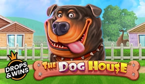 The Dog House в casino x
